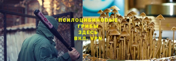 твердый Аркадак